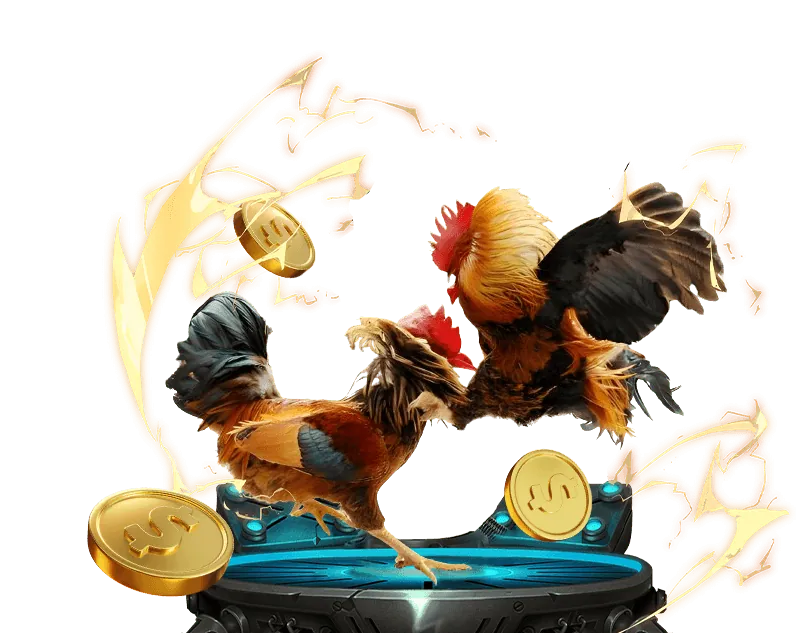 Hình ảnh minh họa Cookie hiệu suất